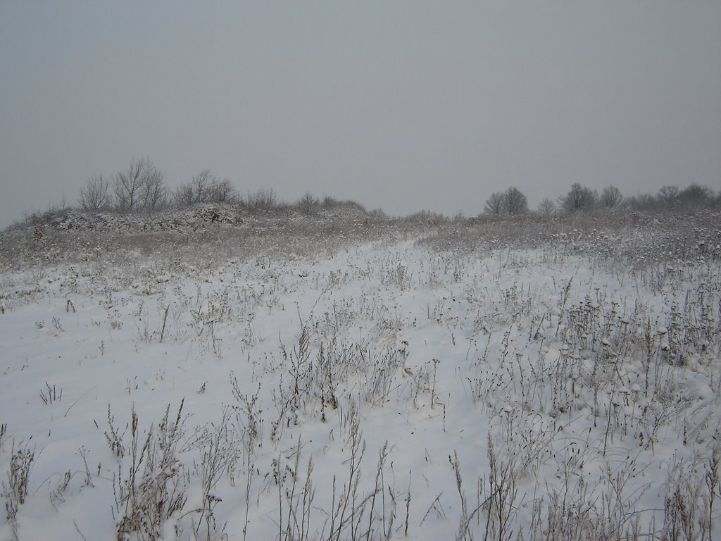 Jenków