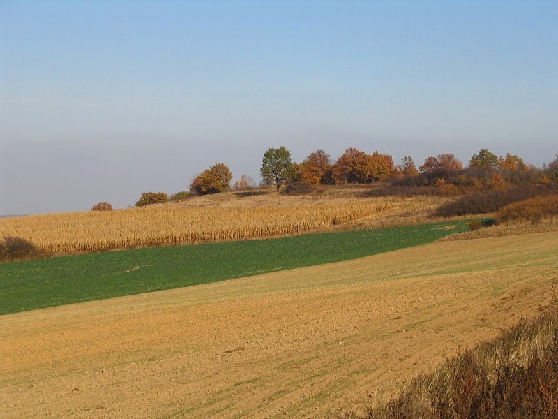 Gmina Wądroże Wielkie
