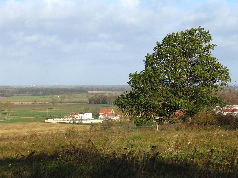 Gmina Wądroże Wielkie