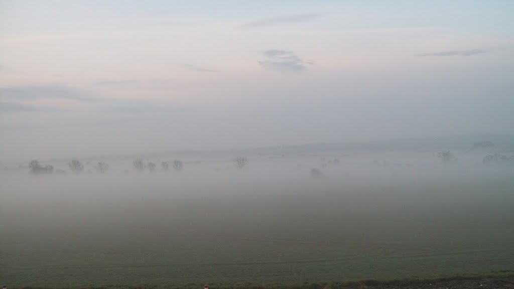 Jenków