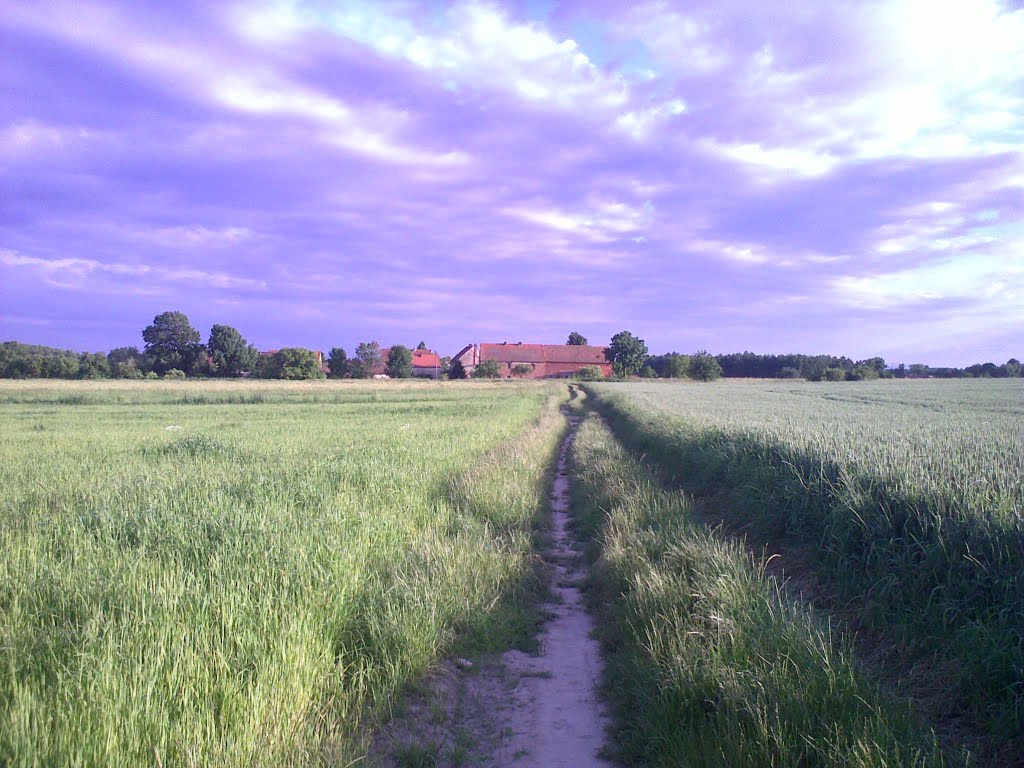 Szymanów, a panorama