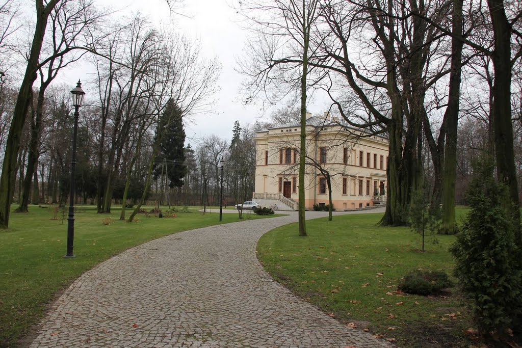 Duży domek