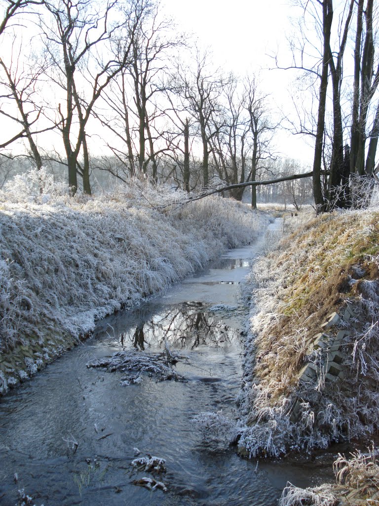 jb - grudzień 2007 - melioracja w zimowej szacie