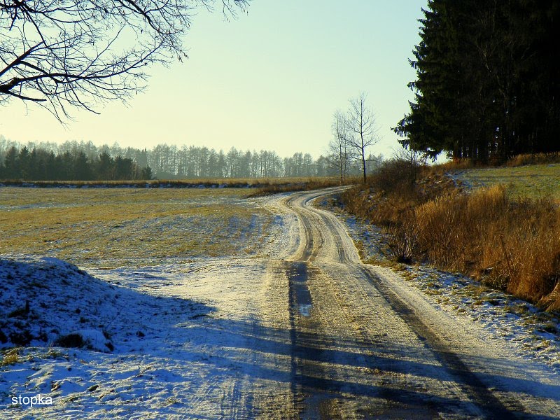Okolice Nowej Rudy