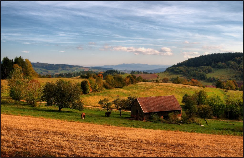 Dzierżoniów