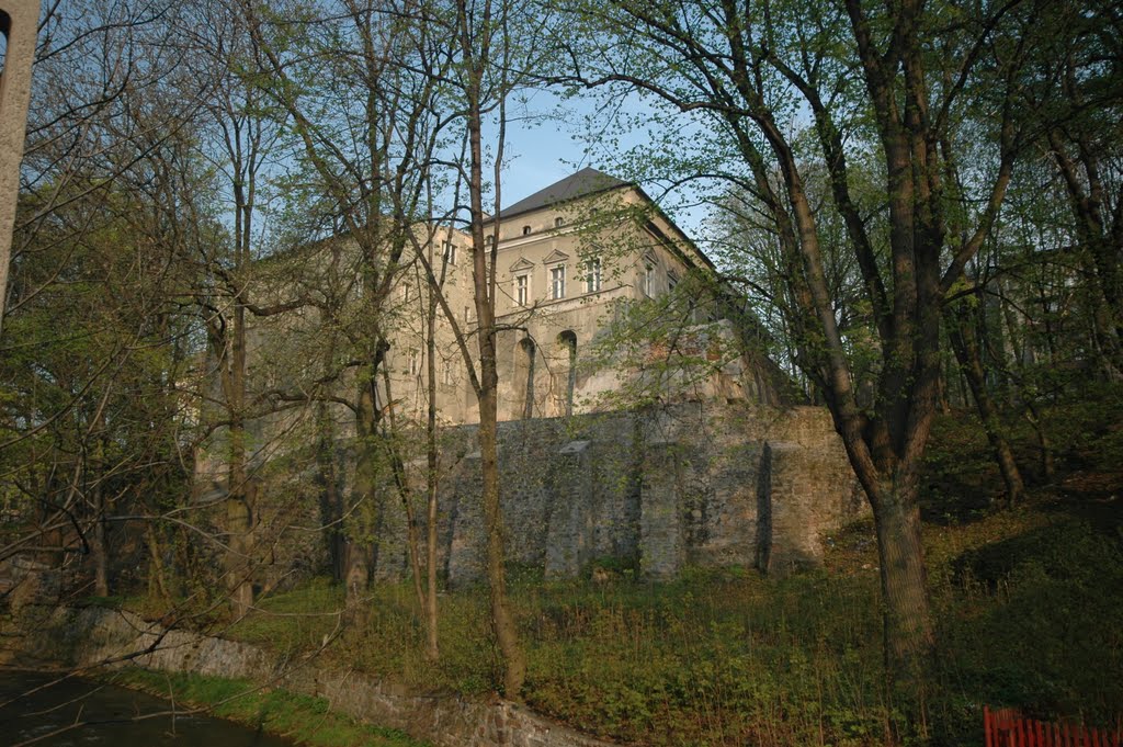 Zamek w Nowej Rudzie (www.zamki.pl)
