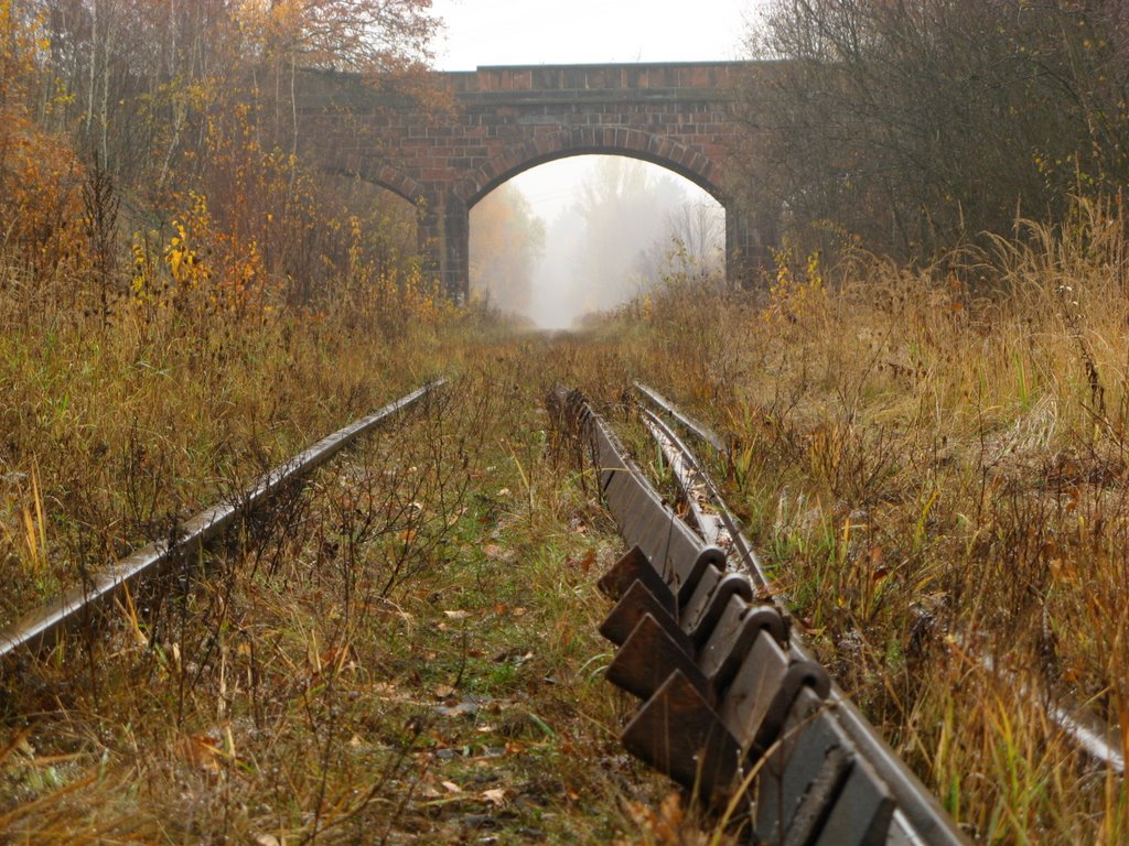 Dziećmorowice