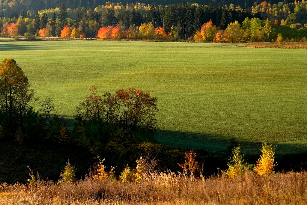 autumn