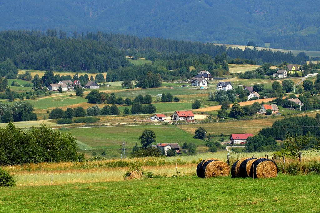Widok z ulicy Kołowej
