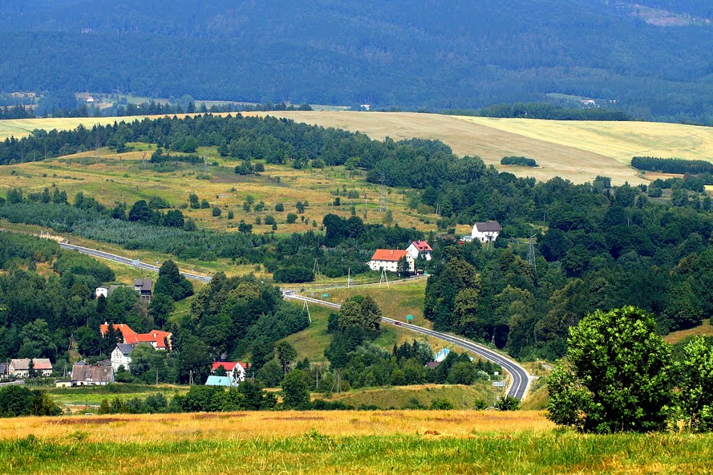 Widok na obwodnicę