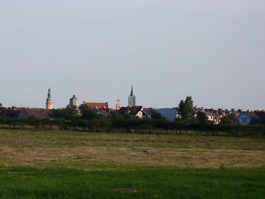 panorama miasta z koryta Oławki