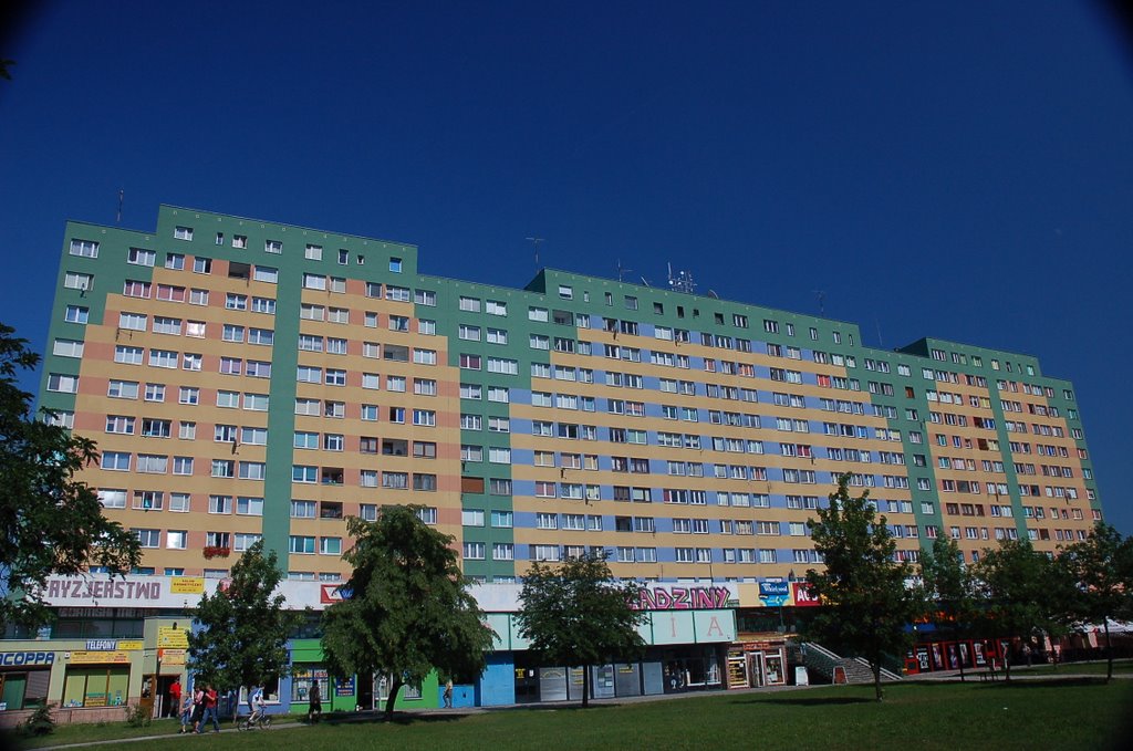 Brzeg