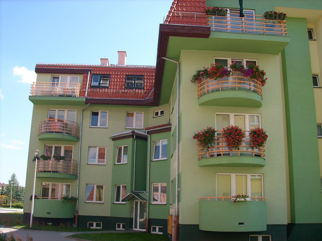 ul.Zaciszna