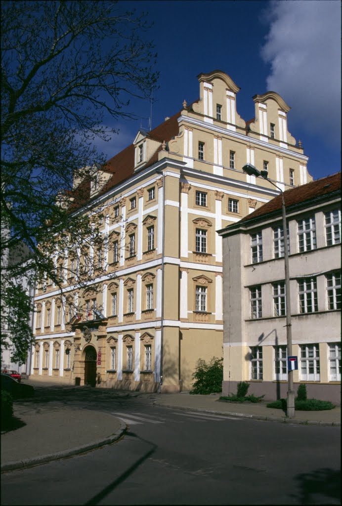 Budynek zespołu zamkowego w Oławie (www.zamki.pl)