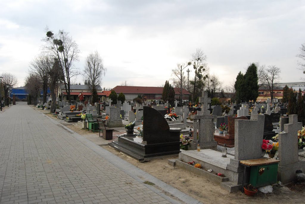 Stary Cmentarz Oława