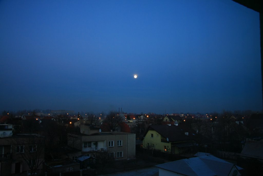 PRZED WIGILIĄ
