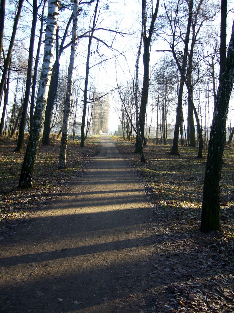 Park u wylotu Gazowej