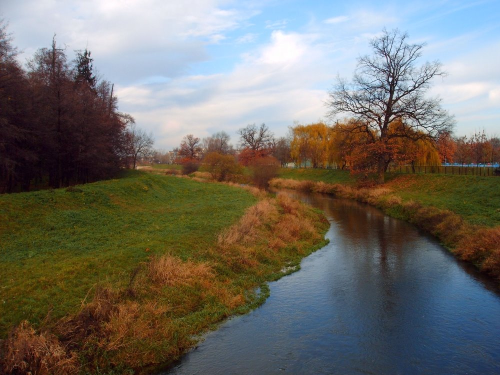 Rzeka Oława jesienią
