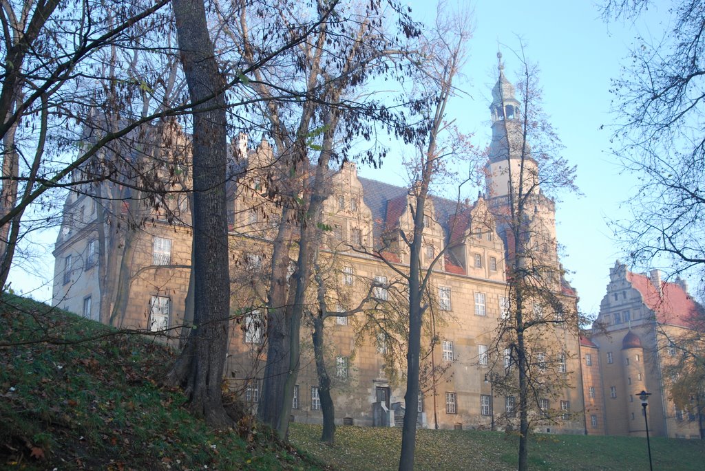 Olesnica