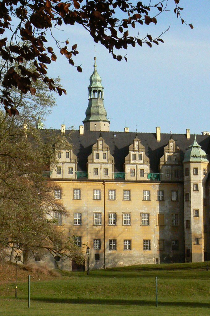 Zamek Książąt Oleśnickich