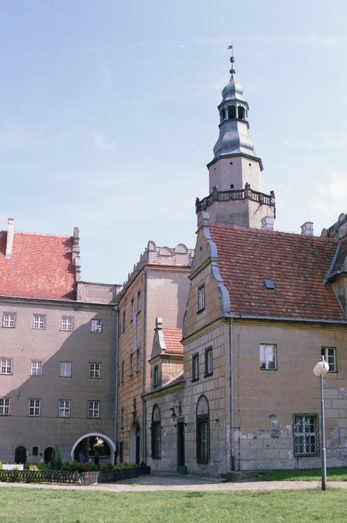 Zamek w Oleśnicy (www.zamki.pl)