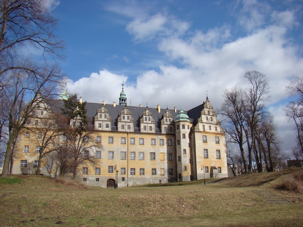 Zamek Książąt Oleśnickich