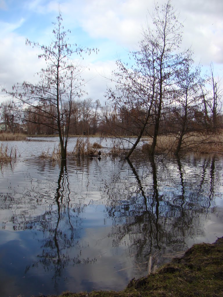 Refleksyjnie