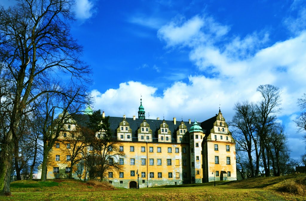 Oleśnica castle