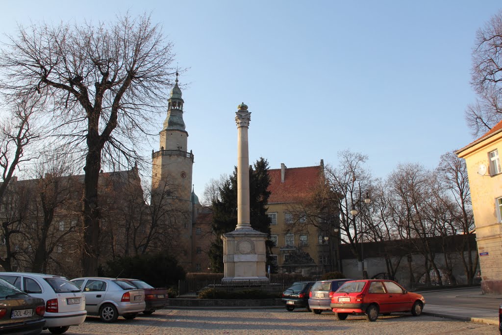 Kolumna