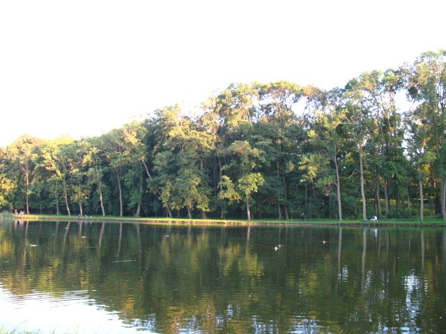 Widok na staw i park