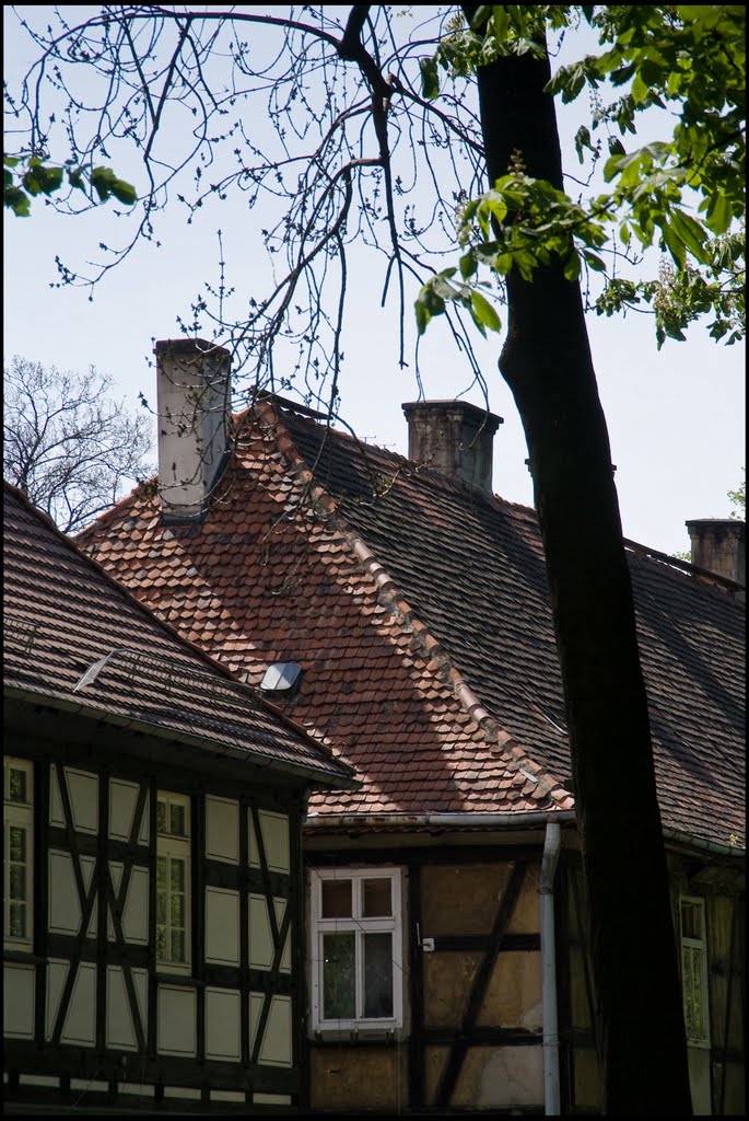 Świdnica-Kościół Pokoju-otoczenie-gb-16