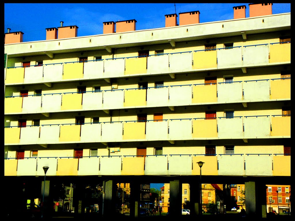 Pomnik socjalizmu przy ul. Siostrzanej w Świdnicy (2010)
