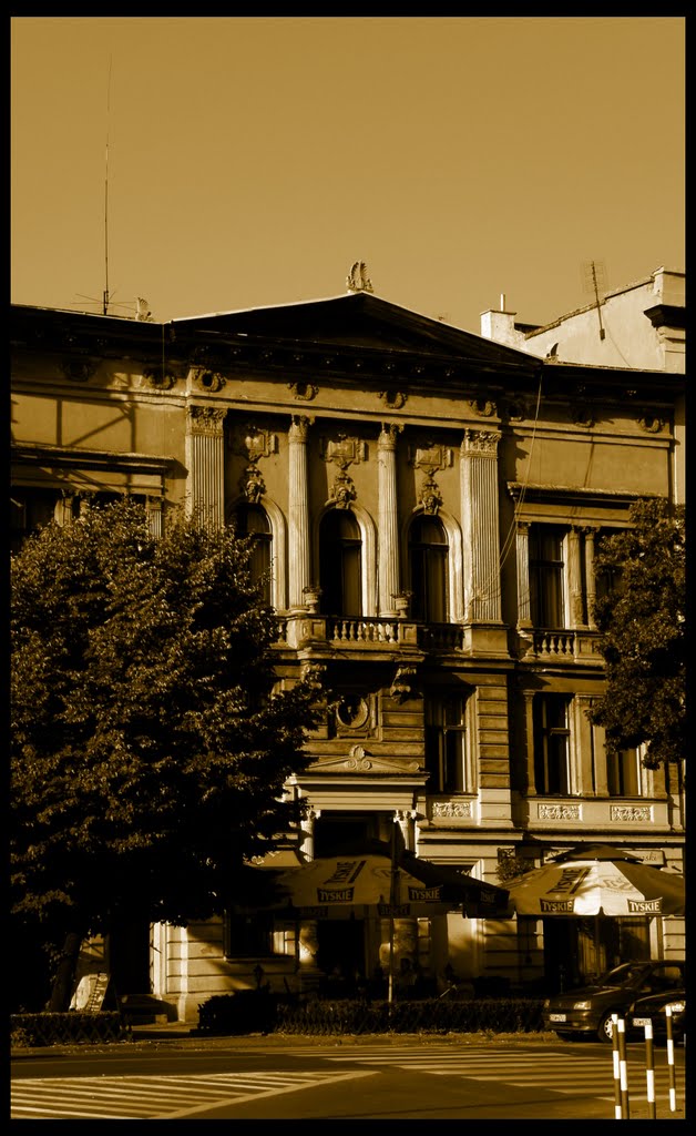 Kamienica w Świdnicy (2010)
