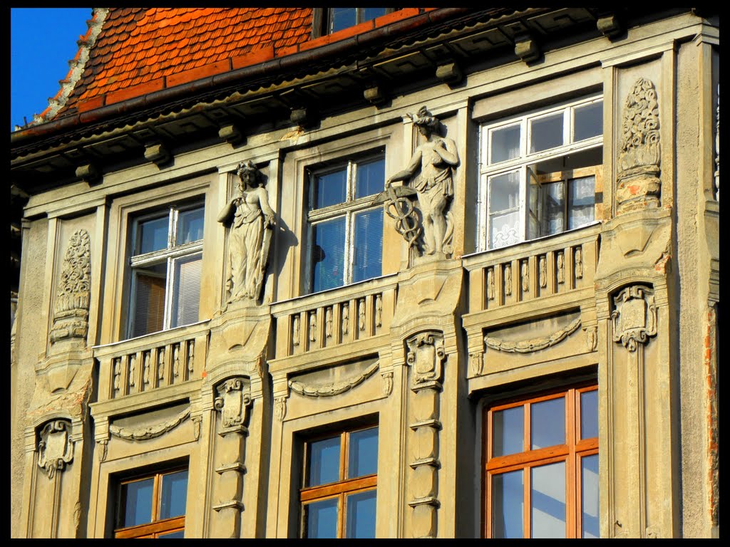 Kamienica w Świdnicy (2010)