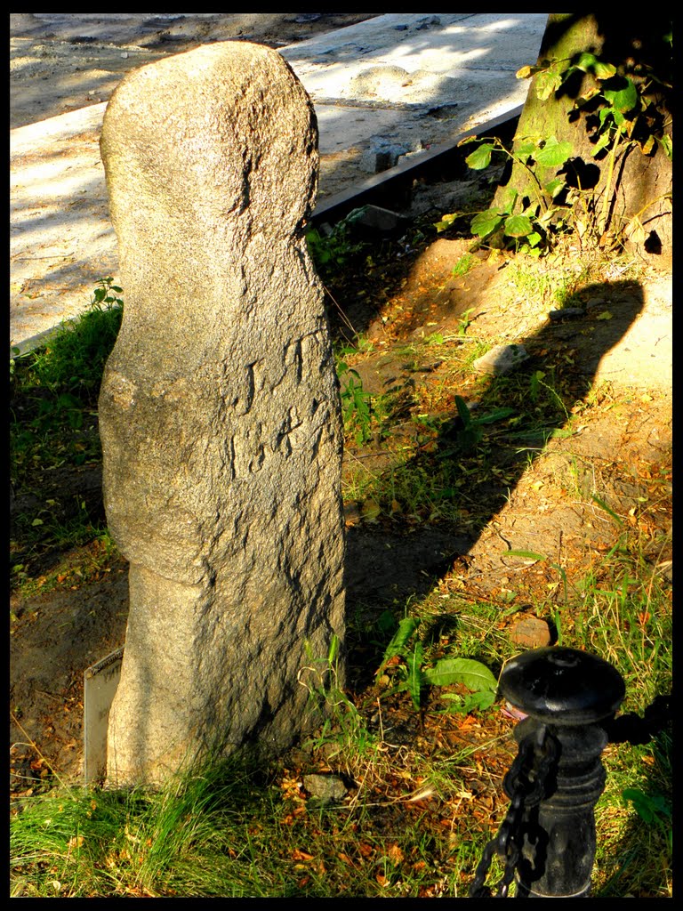 Krzyż Pokutny Jakuba Thau (2010)