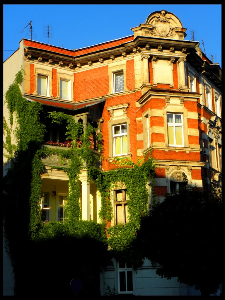 Kamienica w Świdnicy (2010)