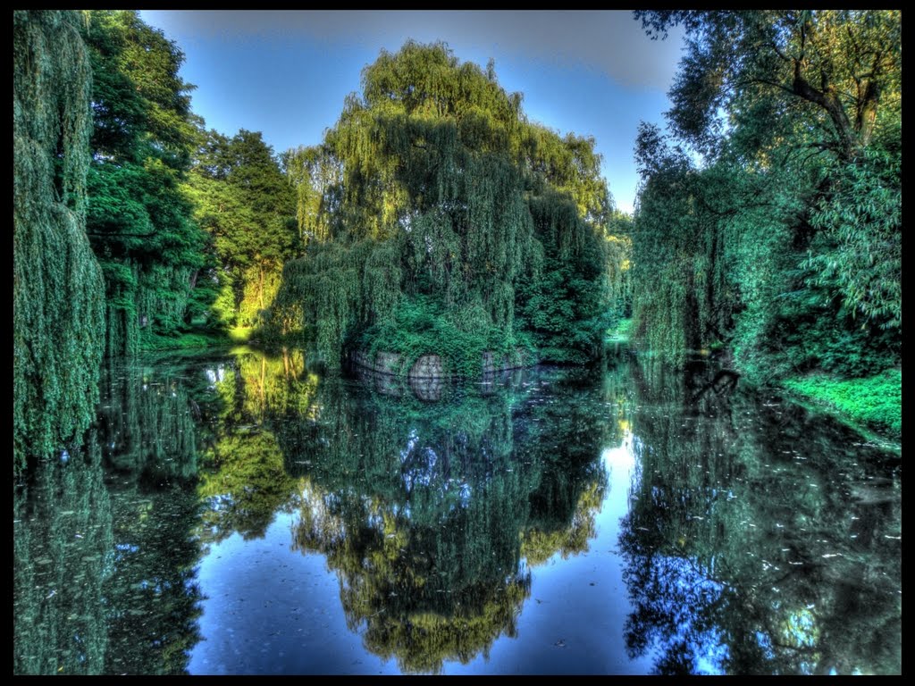 Park Centralny (2010) - please enlarge