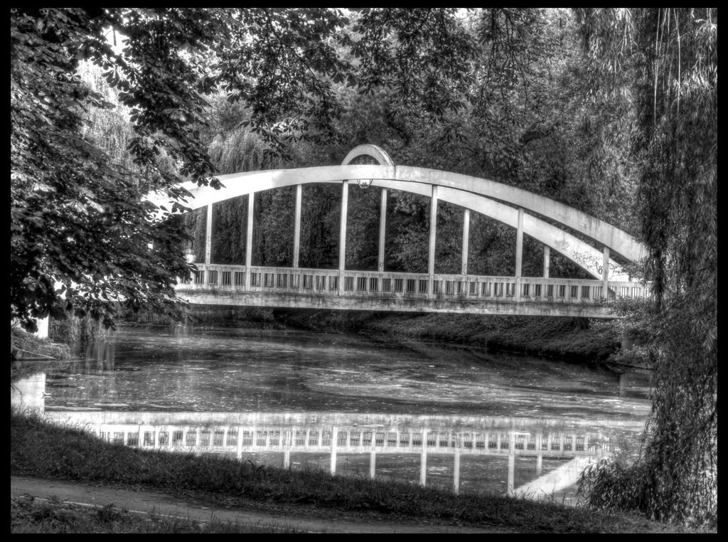 Park Centralny (2010)