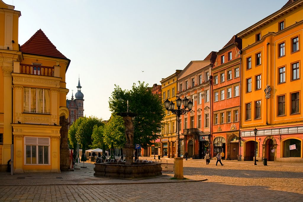Rynek