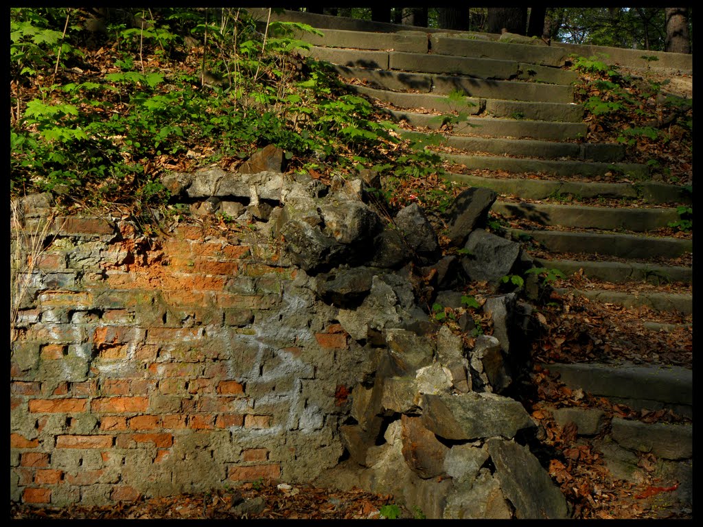 Park Sikorskiego - Świdnca (2011)