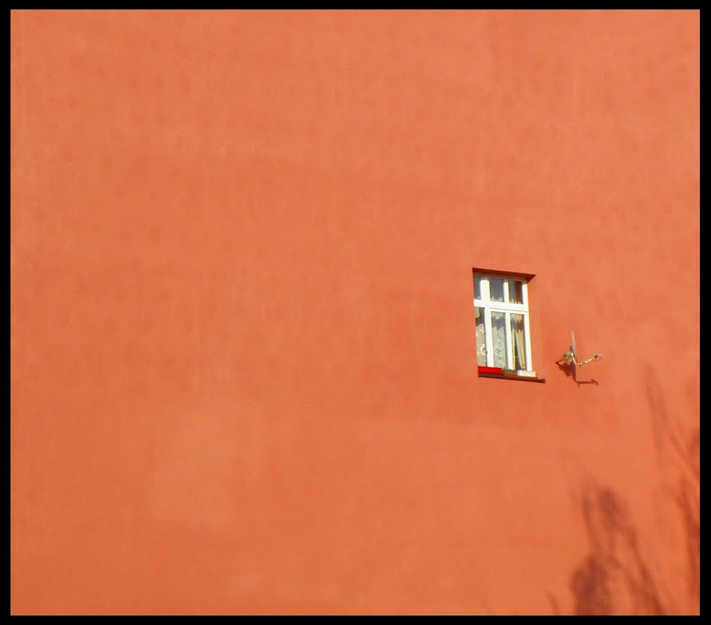 Okno (2011)