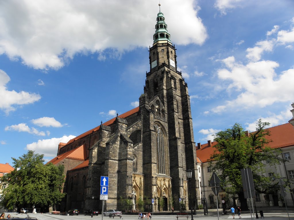 Świdnicka katedra