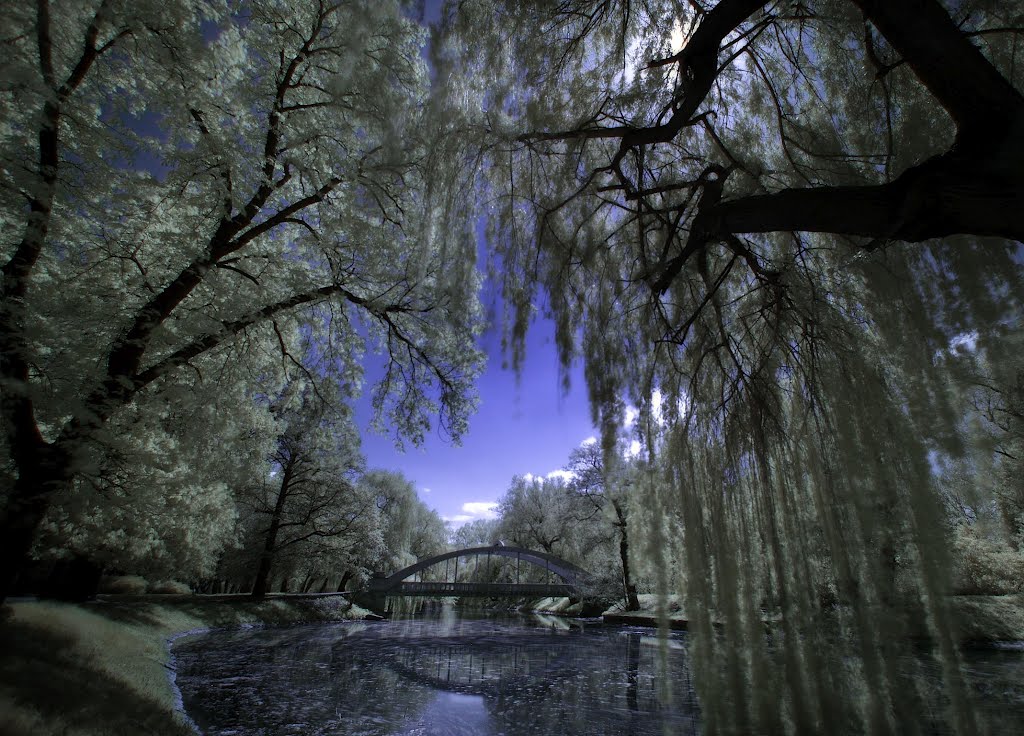park centralny 05.2012