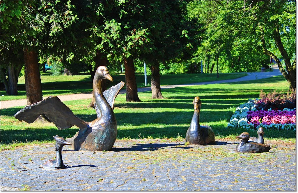 Brodnica, park.[ks]