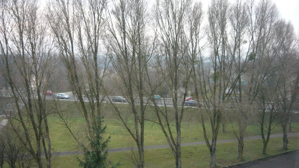 Brodnica ul Sienkiewicza