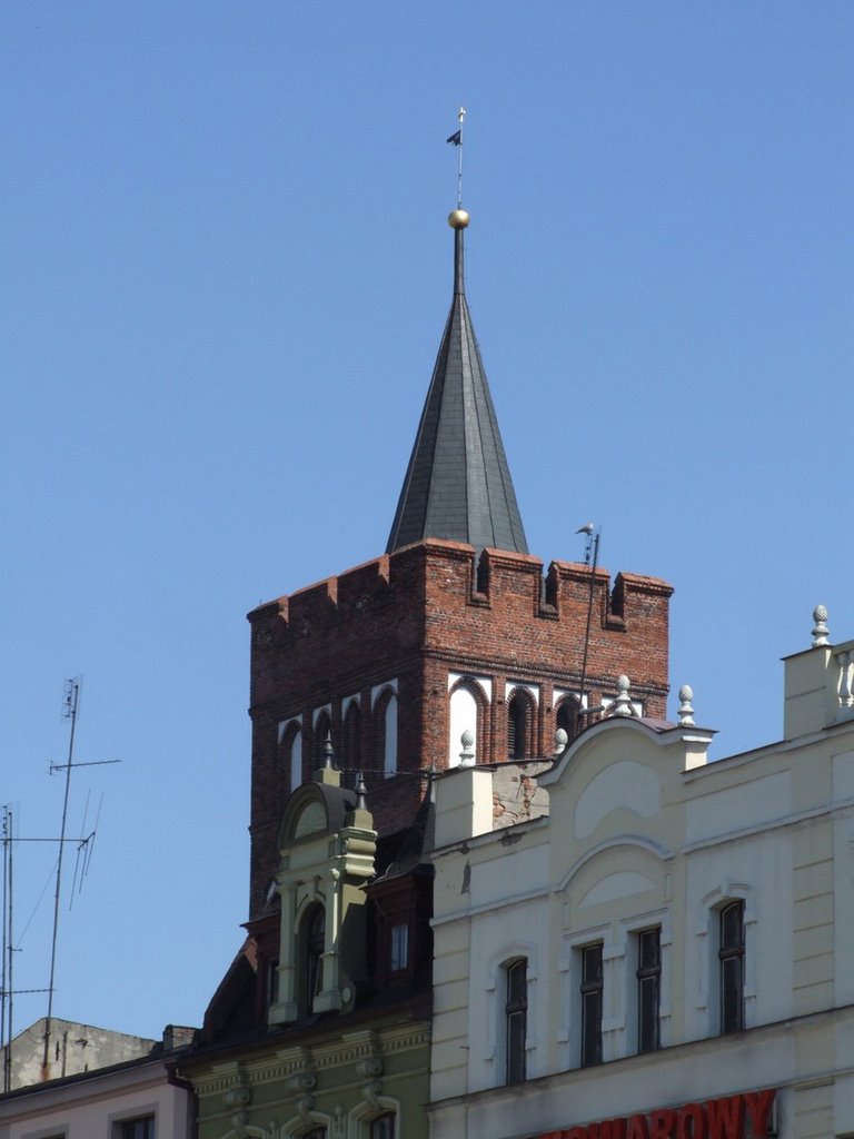 Brodnica