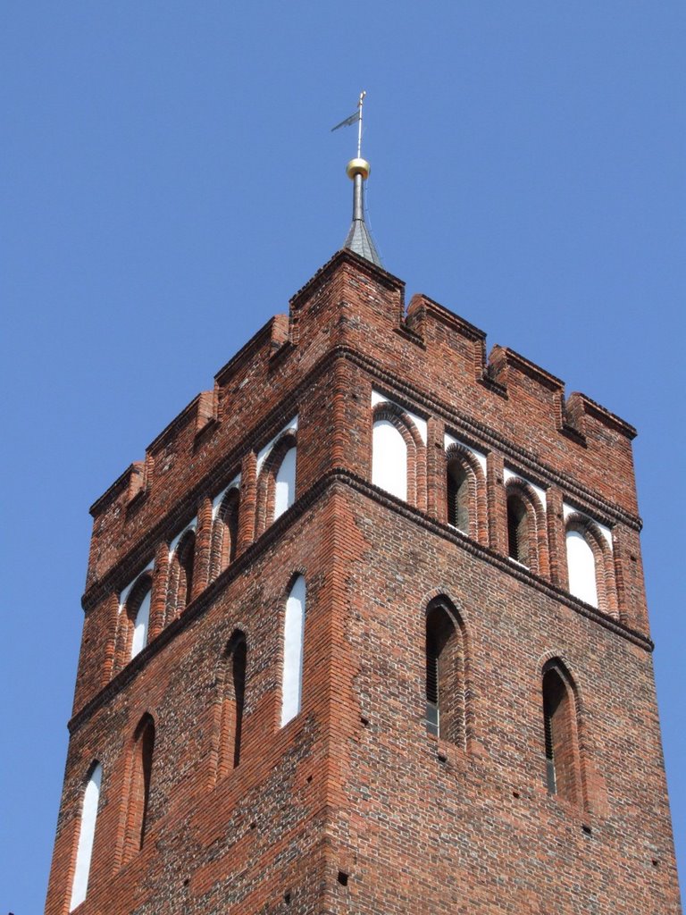Brodnica