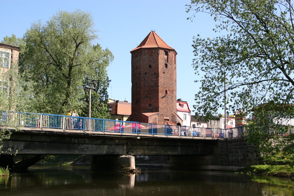 Brodnica z Drwęcy
