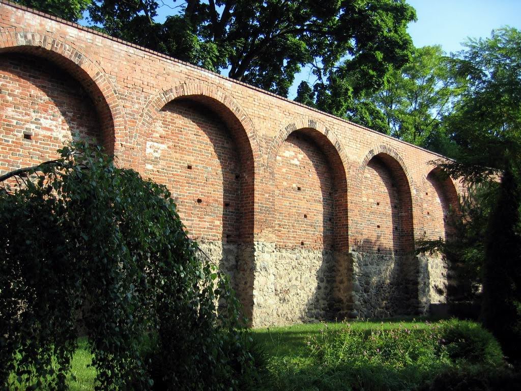Brodnica