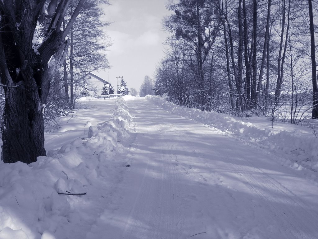 Okolice Brodnicy zimą